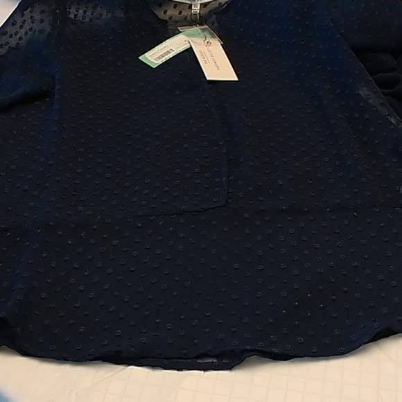 Stitch Fix Navy Damon Swiss Dot Shear Blouse XS - Picture 10 of 12